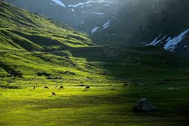 Shounter Valley in Muzaffarabad